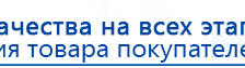 СКЭНАР-1-НТ (исполнение 01)  купить в Гусь-хрустальном, Аппараты Скэнар купить в Гусь-хрустальном, Скэнар официальный сайт - denasvertebra.ru